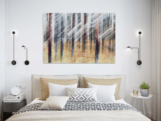 Conifers (studio 4)