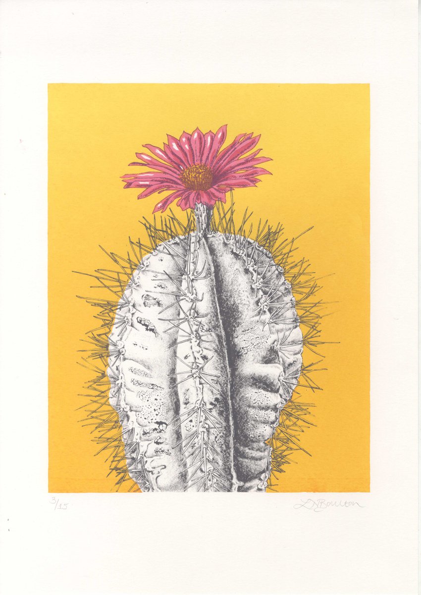 Illustrative Botanical Screenprint By Louise Boulton, 11 X 17", Cactus, Original Artwork