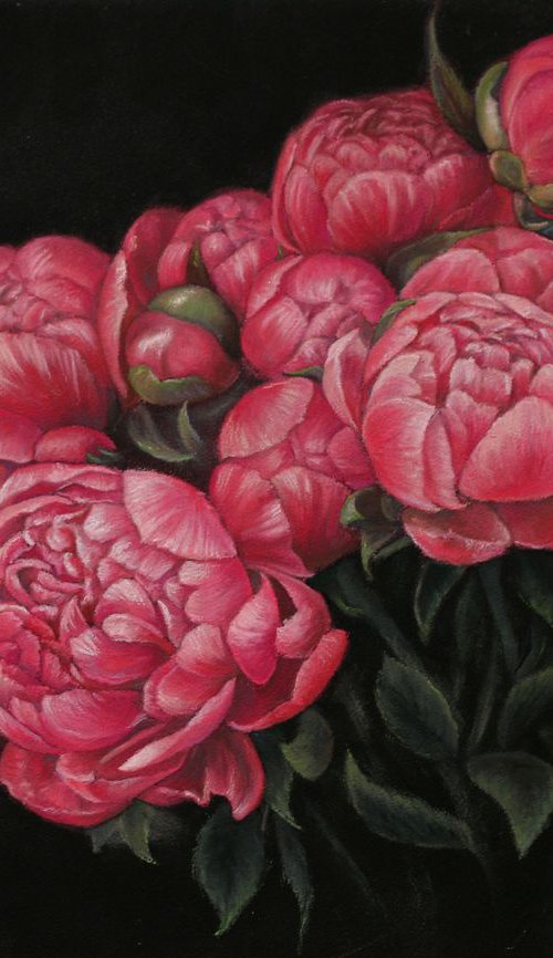 Pink peonies on black background by Tatjana Bril