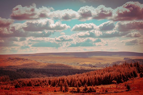 Dartmoor, 2022 - 01 - A4
