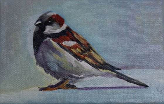 Sparrow #1