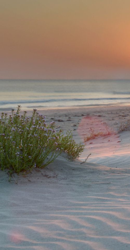 Sunrise at the beach by Yani Hristov