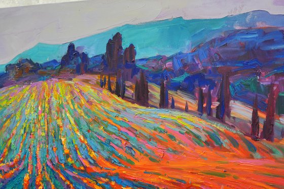 Tuscan vineyards