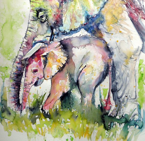 Elephants family