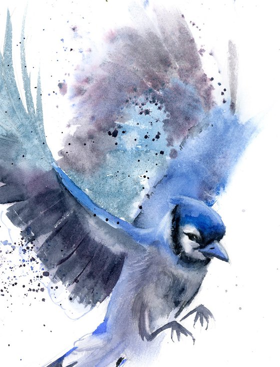 Blue Jay in Flight - Diptych