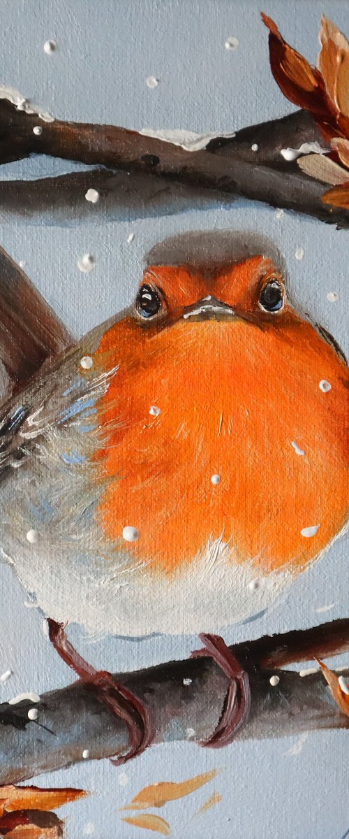 Robin, Winter Bird by Natalia Shaykina