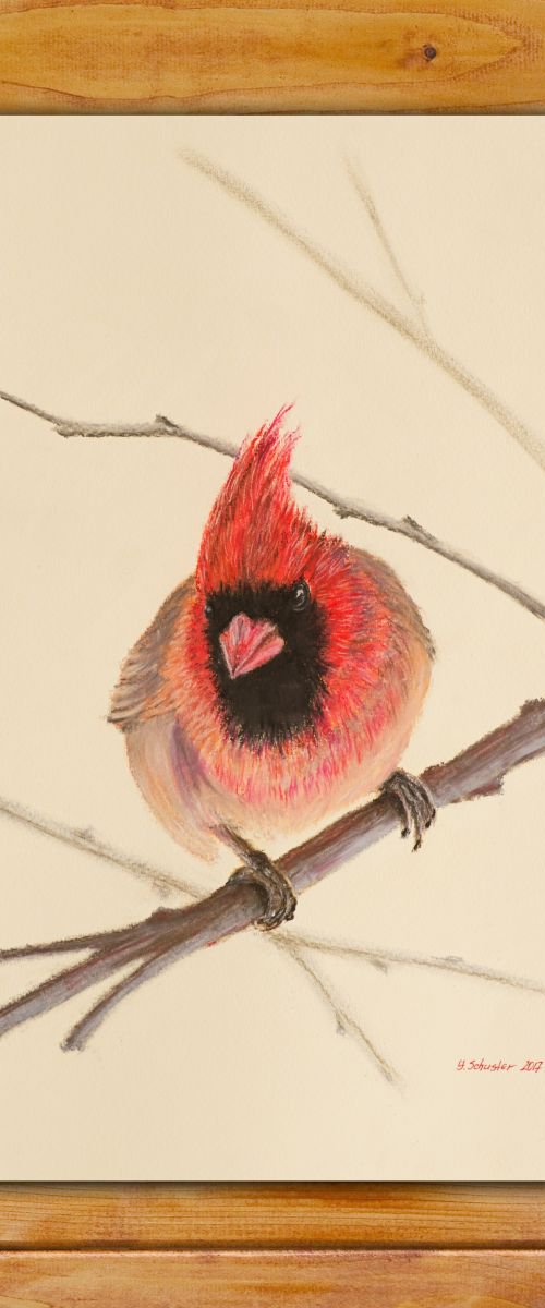 Red Bird, The Northern Card by Yulia Schuster