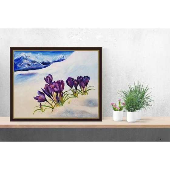 Crocuses in the Alps