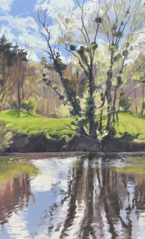 May 13, the banks of the Loire by ANNE BAUDEQUIN