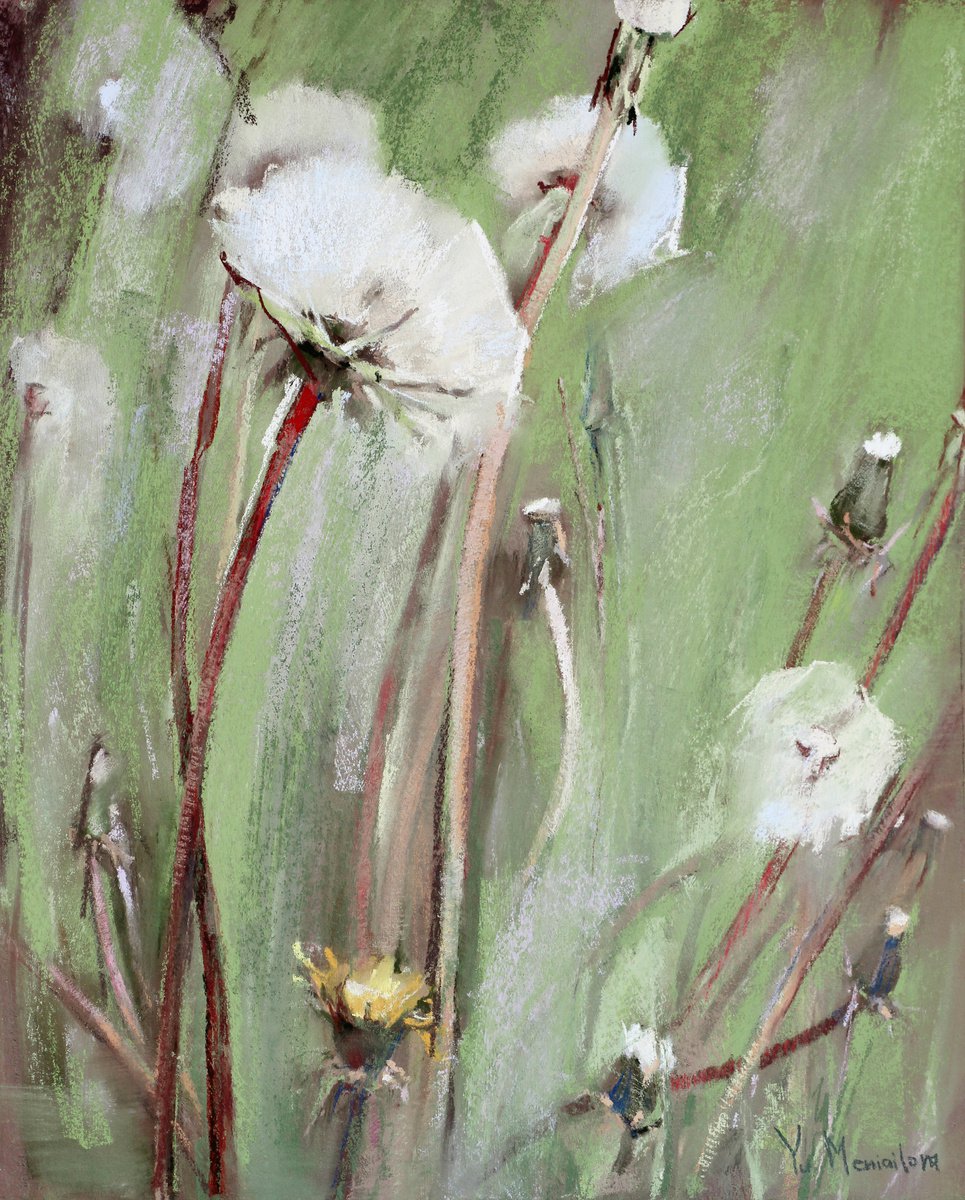 Field dandelions by Yuliia Meniailova