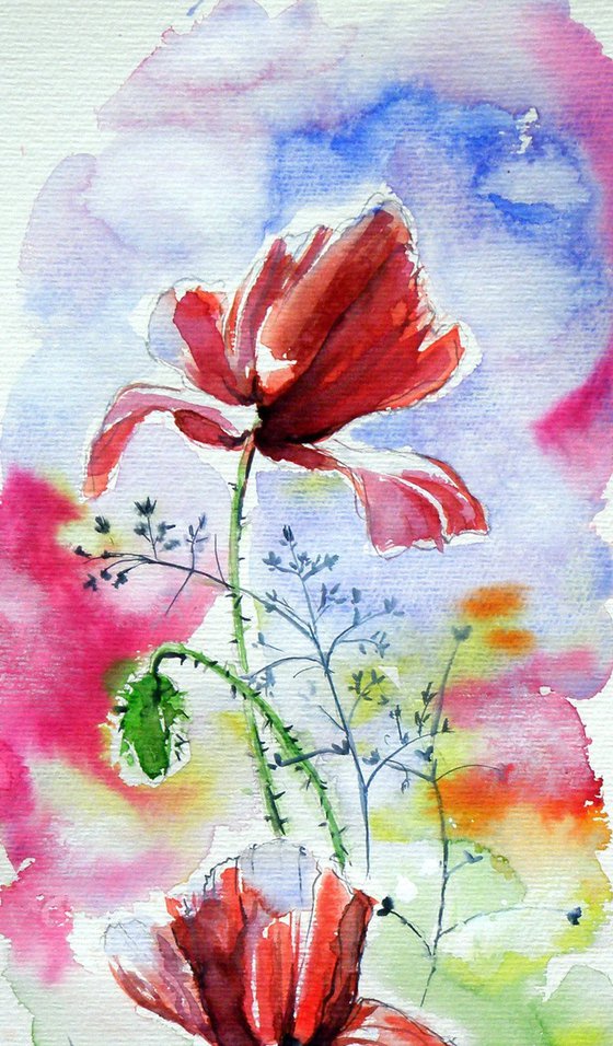 Poppies of summer IV
