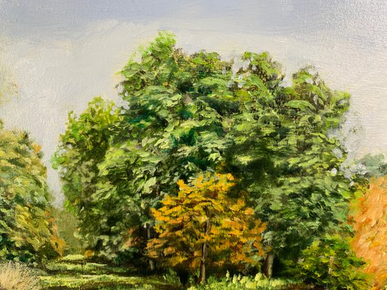 Landscape. 7-8