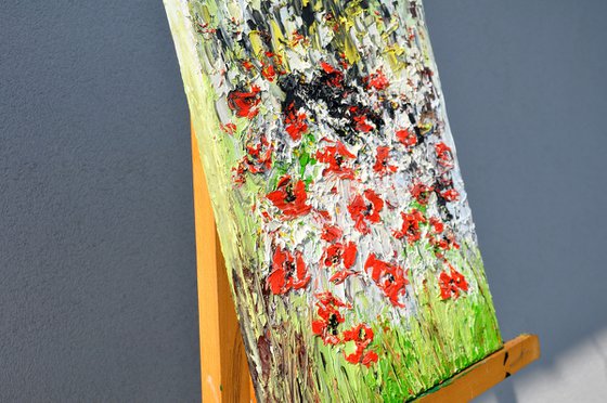 A Meadow Full Of Poppies