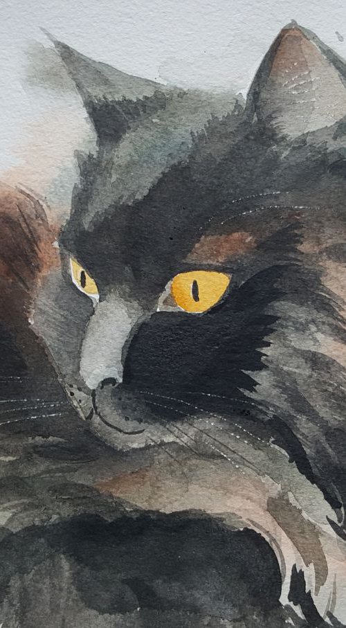 Amber Eyes cat painting by Mary Stubberfield