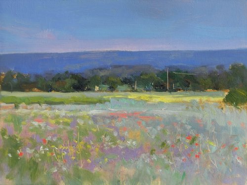 Meadow in Provence by Pascal Giroud
