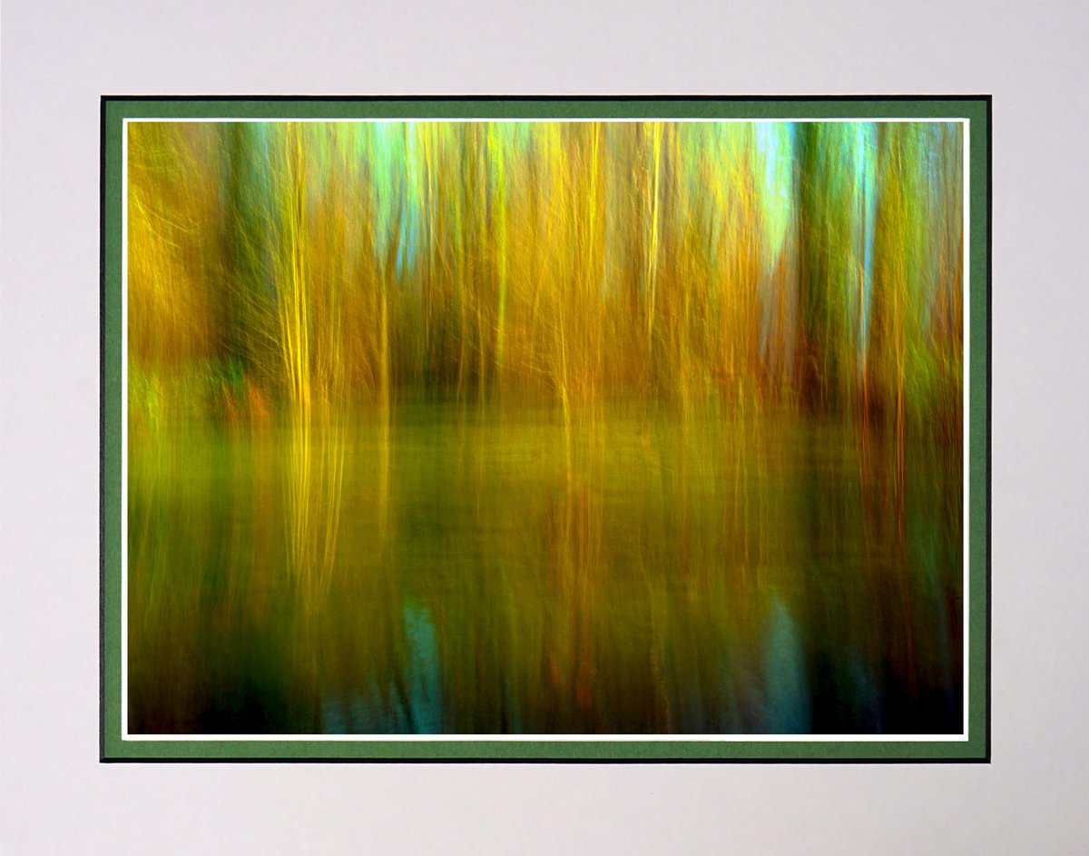 Vibrant Woodland Pond with ICM (intentional camera movement) by Robin Clarke