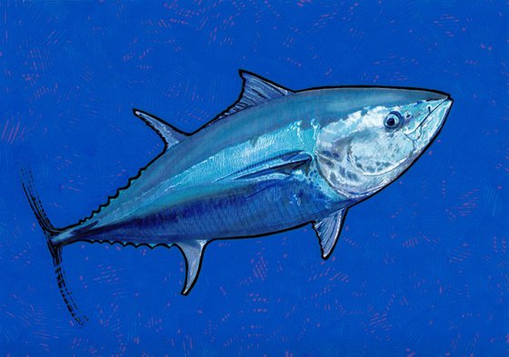 Bluefin tuna 01 - SOLD