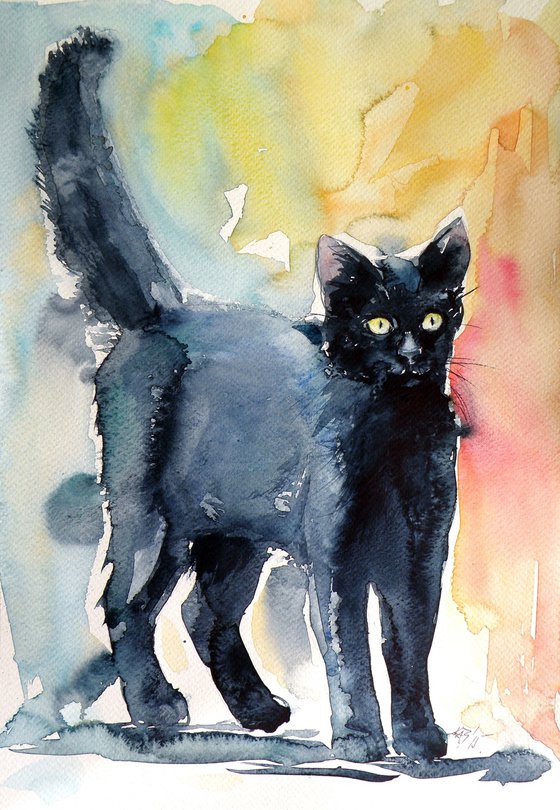 Black cat III