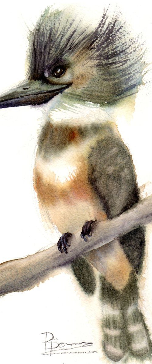 Kingfisher bird Original Watercolor Painting by Olga Tchefranov (Shefranov)