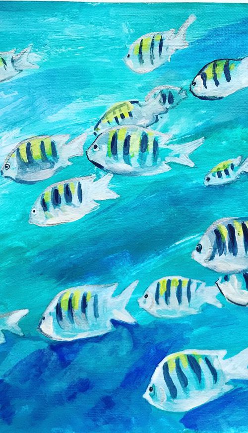 Fish caribe by Olga Pascari