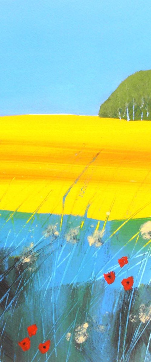 Rapeseed 6 by Jan Rippingham