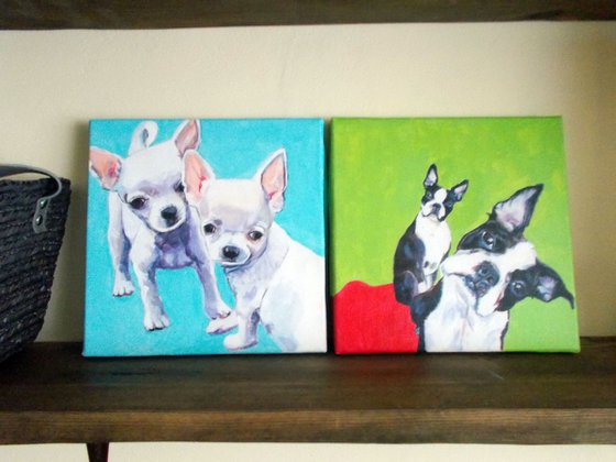 Boston Terriers ♥♥♥I want one (or two!?) ......
