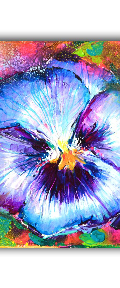 Purple Pansy by Soos Roxana Gabriela
