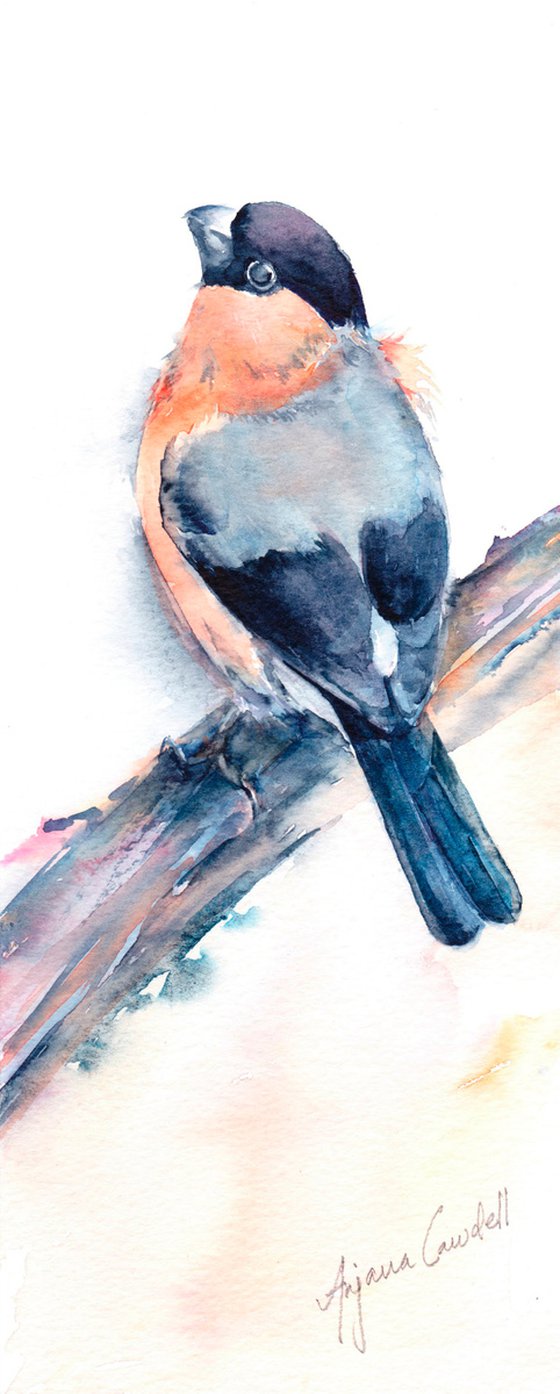 Bullfinch painting, Original bird painting, Watercolour