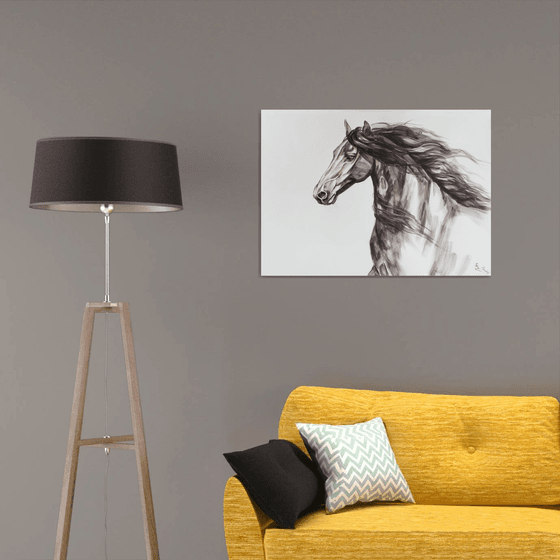 Portrait of a friesian horse