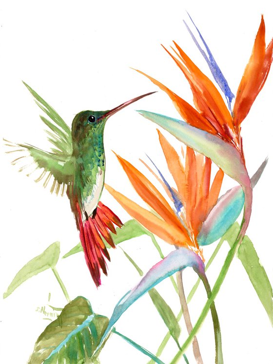 Hummignbird and Flowers