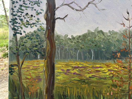 Dutch Forest Clearing. Plein air