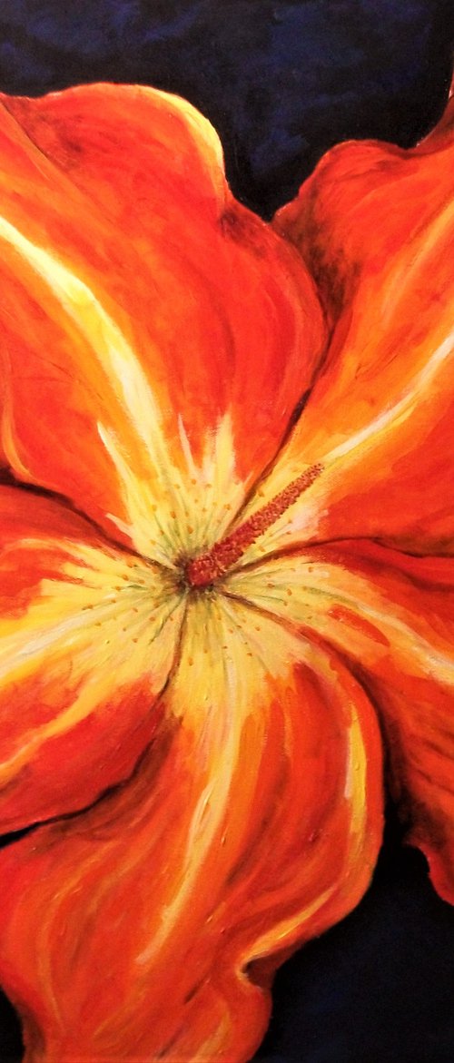 Flaming Hibiscus by Lynda Cockshott