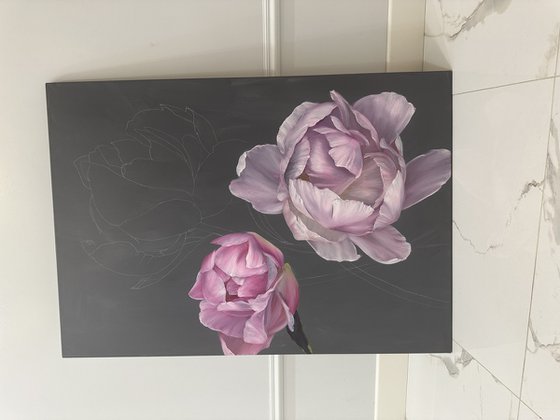 The tenderness of peonies