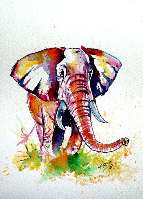 Walk alone - African elephant by Kovács Anna Brigitta