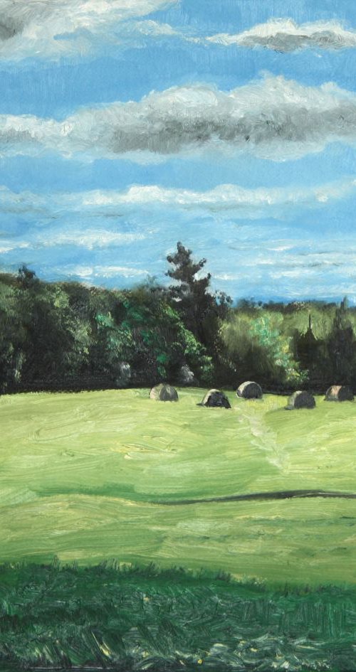 The Farmer's Hay by Vladimir Topal