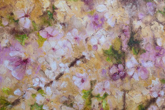 Cherry Blossom Season