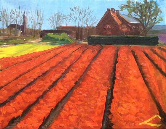 Tulips farm house