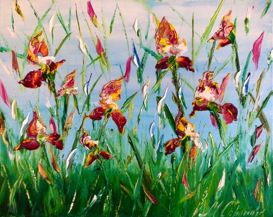 MORNING IRISES - Blooming irises. Red flowers. Summer landscape. Saturated colors. Fancy petals. Greenery. Beauty of nature. Palette knife.