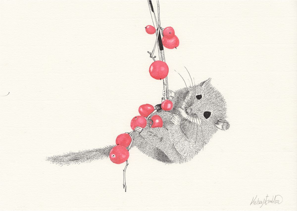 Dormouse handing from red berries by Kelsey Emblow