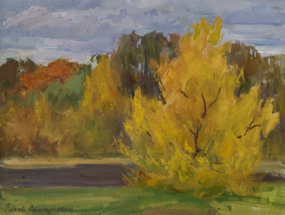 Impressionistic Landscape Oil Painting By Olga Samar, 16 X 12", Gold Tree, Original Artwork