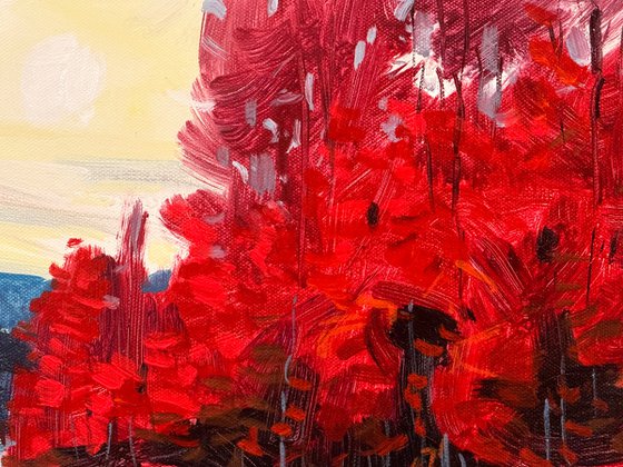 Fiery Foliage