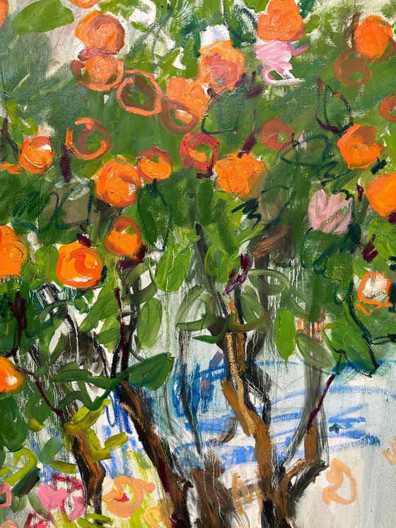 Winter garden. Oranges.