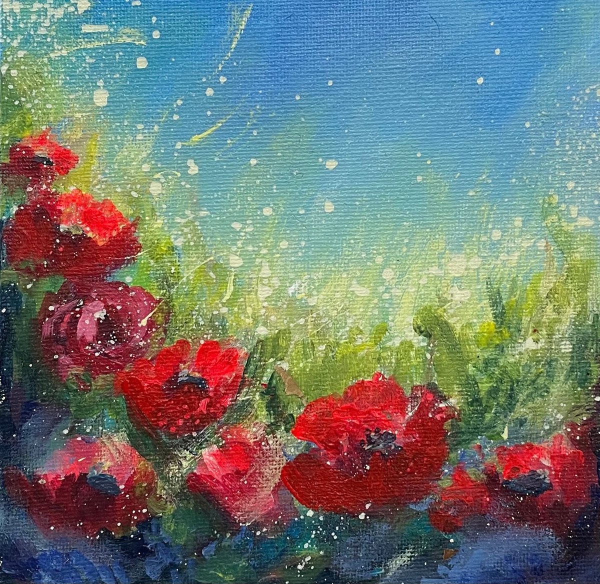 Poppies in the shade by Emma Sian Pritchard
