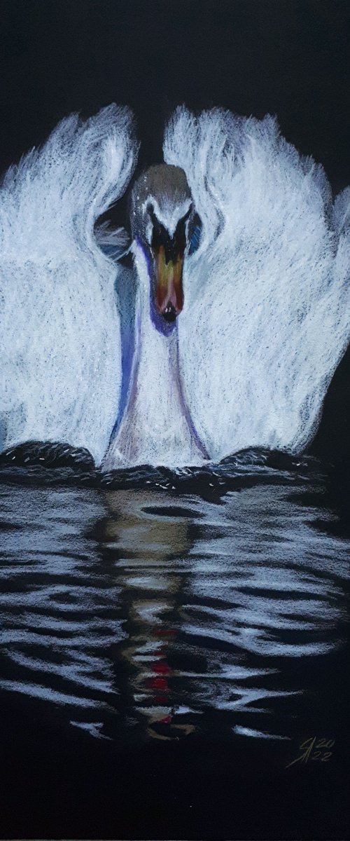 Swan / ORIGINAL DRAWING by Salana Art Gallery