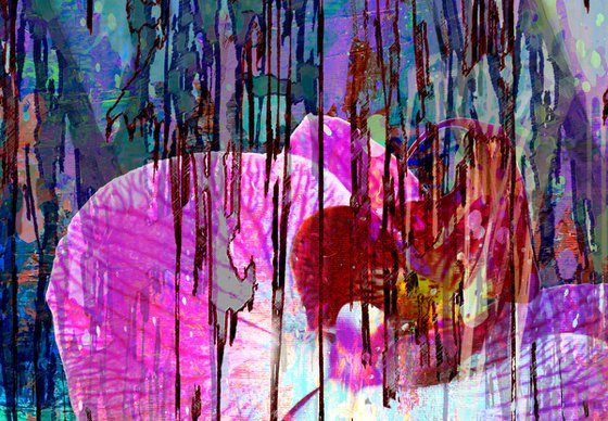 Abstract Pink Orchid