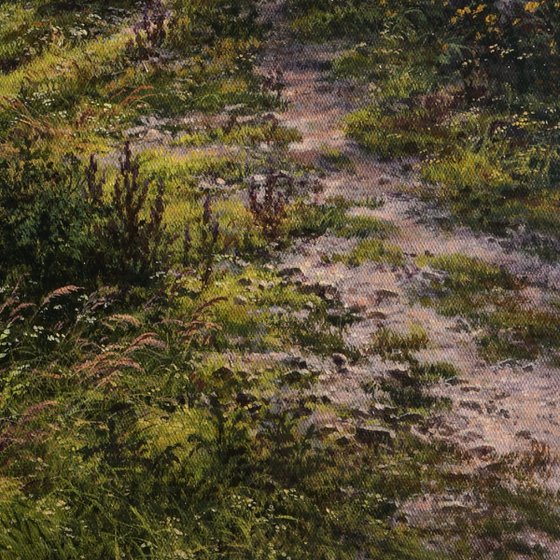 The path by the blooming river