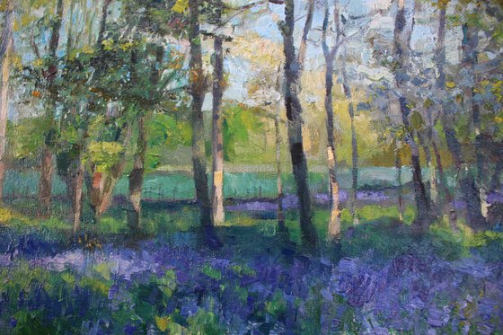 Bluebells and blooms