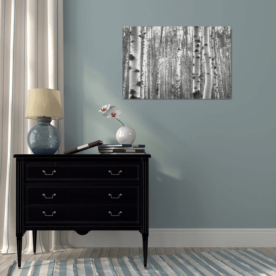 July Aspens in Black and White