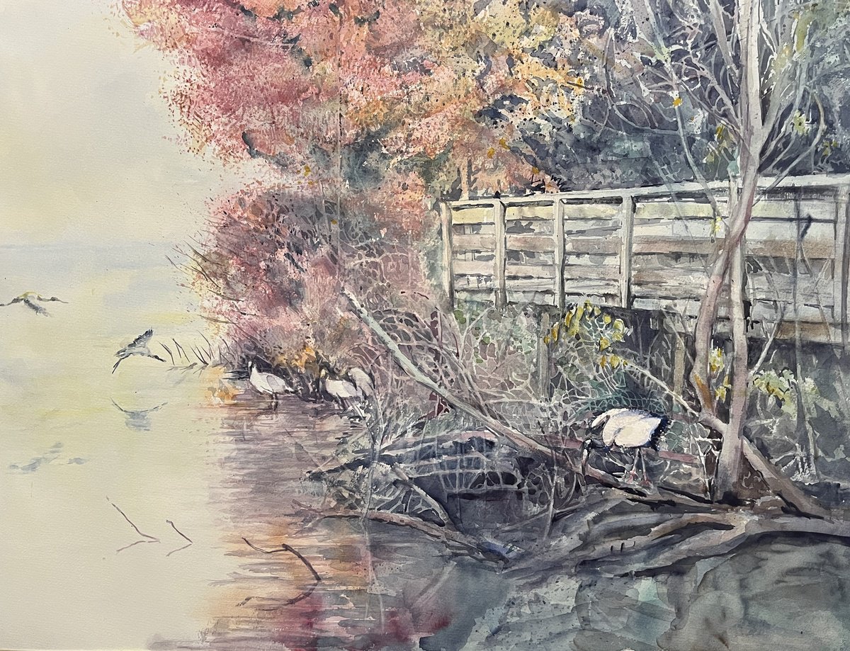 Impressionistic Watercolour , Where To Watch Wood Storks By Yoshiko Murdick, 24 X 18, Artwork For Sale On Artfinder
