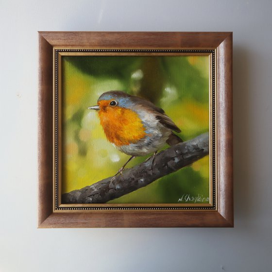 Robin Bird Painting